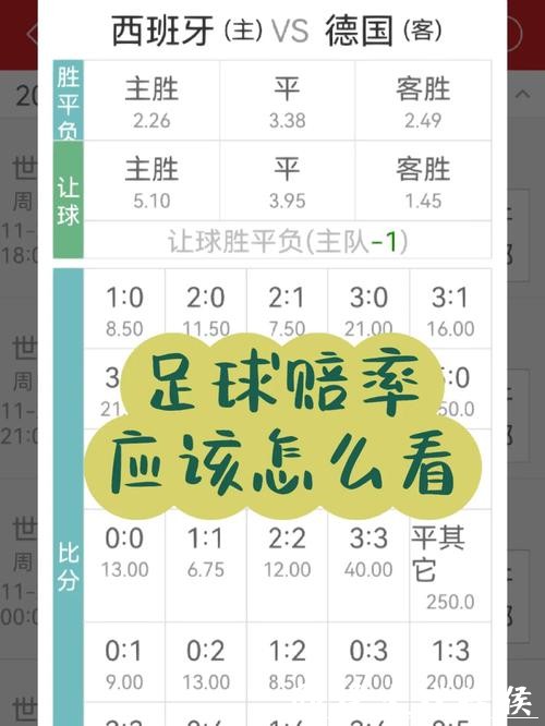 2026世界杯投注:赔率解析与投注心得 2026世界杯投注:赔率解析与投注心得